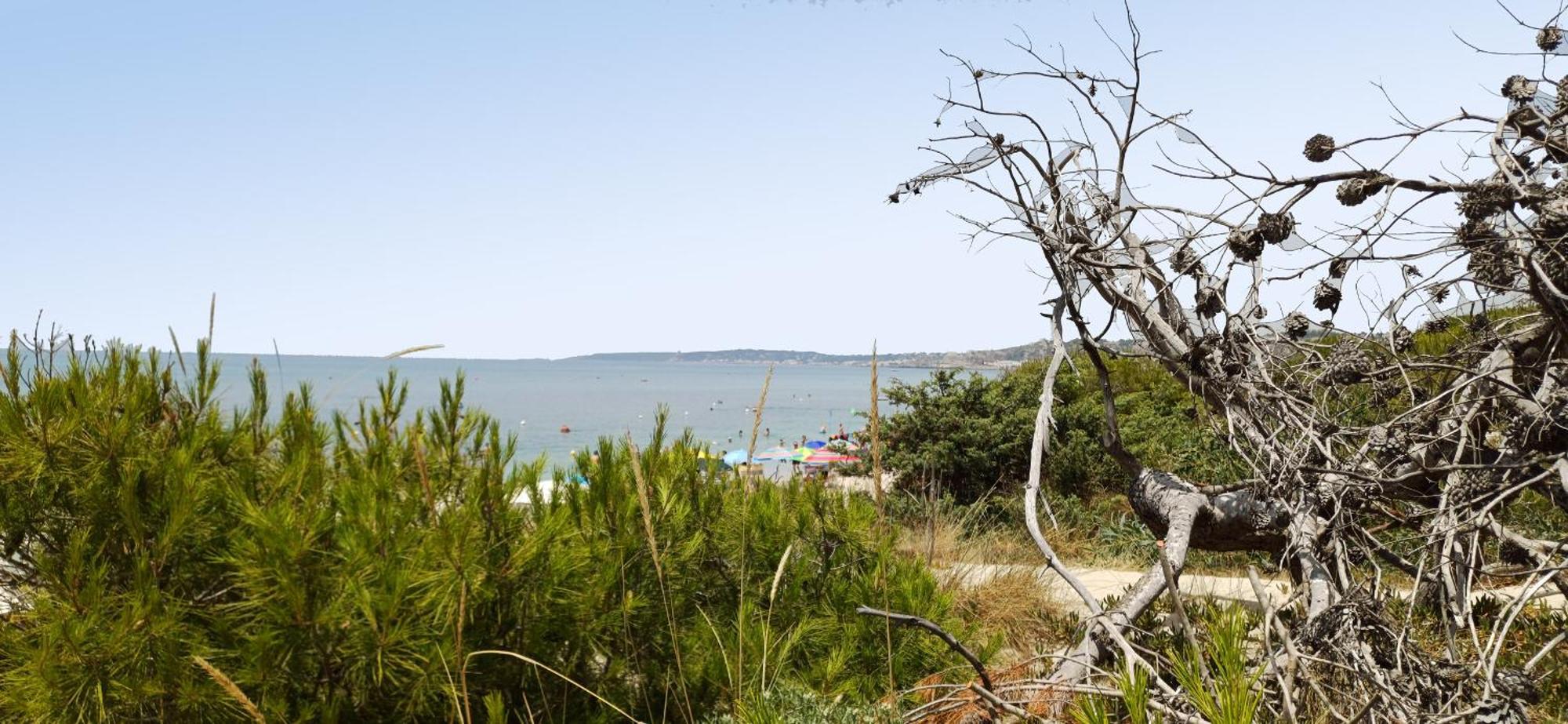Residence Polaris A Rivabella Dış mekan fotoğraf